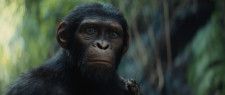 【独占】パフォーマンス・キャプチャのパイオニアが教える、猿役を演じるための役作りとは　映画『猿の惑星／キングダム』