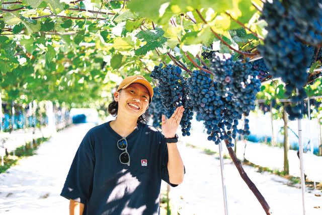 日本初の本格ワイン醸造場である 「牛久シャトー」で日本ワインの歴史を学ぶと意外な事実に出会った！