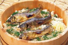 先人の知恵で味わう「郷土の魚料理」26選
