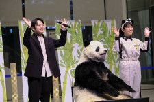 中村莟玉「莟玉さん、和歌山のパンダもどうぞごひいきに！」でパンダ系男子の真髄を見た