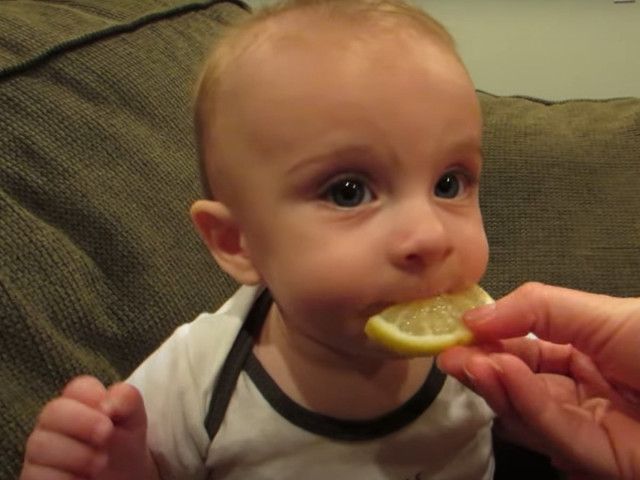 生まれて初めてレモンを食べた赤ちゃん　“仰天リクアション”に視聴者「最高」