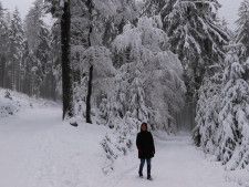 まるで冬のワンダーランド！　雪景色が広がるドイツの登山道に感動の声「神秘的」「美しい映像」