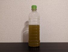 【緑茶の日】「ペットボトルの緑茶」が“泡立つ”のはなぜ？　そのまま飲んでもOK？　サントリーに聞く