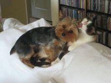 この表情である…