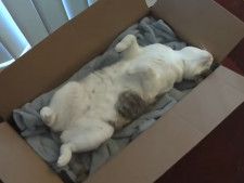 リラックスしすぎじゃない？