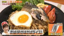 【『家事ヤロウ!!!』レシピ】美味しすぎて叫ぶ！平野レミ伝授、さばを使った簡単絶品ライス