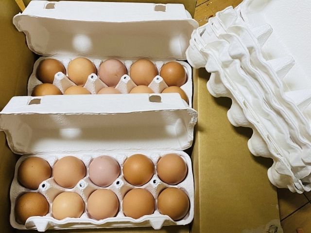 深刻な卵不足解消？大手食品メーカーがブラジル産の卵を輸入へ
