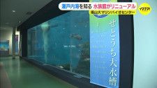 「自然体の魚の姿 見られる」福山大学の水族館がリニューアル　瀬戸内海を知る　広島･尾道市