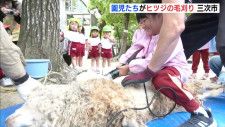 「命の尊さを感じてほしい！」広島市三次市の幼稚園でヒツジの毛刈り