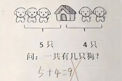 「5+4=9」は間違い?小学1年生の算数の問題が物議―中国
