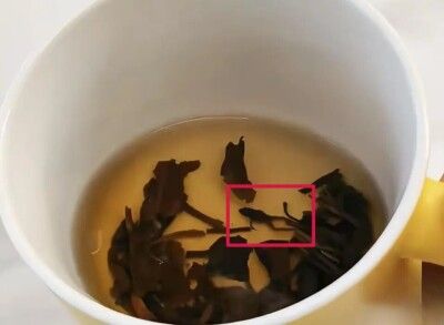 お茶の中に乾燥したカエル、購入した女性「本当に気持ち悪い」―中国
