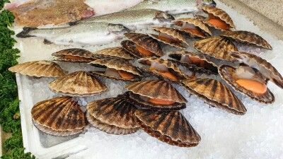 日本の水産物輸入再開、中国の苦しい事情―台湾メディア