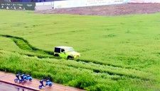 19日、紅星新聞は、浙江省の麦畑でオフロード車が生長中の麦をなぎ倒しながら走行する様子が目撃されたと報じた。