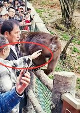 中国メディアの封面新聞によると、中国のSNS上でこのほど、「女性がサルのお尻を触り、隣りにいた男性がとばっちりを食らった」とする動画が拡散した。