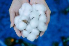 8日、独ドイチェ・ヴェレは、米国が2021年に中国新疆ウイグル自治区産綿製品の輸入を禁止する一方で、なおも同自治区産の製品が米国内に入っていると報じた。