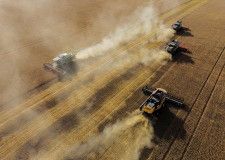 　４月３日、ロシアの連邦動植物検疫庁は、大手穀物商社アストンに所属する一部船舶の穀物輸出を差し止めた。写真は小麦の刈り入れの様子。露オムスクで昨年９月撮影（２０２４　ロイター／Alexey Malgavko）