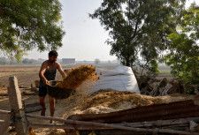 インドのモディ首相が、農村部の１人当たり所得を５０％引き上げる目標を立てた。写真は北部ウッタルプラデシュ州マトゥラで農作業をする人。４月撮影（２０２４年　ロイター／Priyanshu Singh）