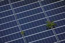 米ホワイトハウスは１６日、太陽光発電設備の分野で中国製品への依存を減らし国内産業を支援する措置を発表した。太陽光パネル、フロリダ州で２０２２年撮影。（2024年　ロイター/Brian Snyder/File Photo）