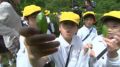 「たくさん取って帰りたい」高松市の栗林公園で小学生が茶摘み体験【香川】
