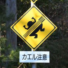 これが本当の“轢きガエル”？　珍しい「カエル注意」の看板、島根・邑南町道にある理由とは