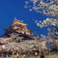 松江城で夜桜満開、名所で花見楽しむ　島根、鳥取両県で見頃