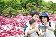 ボタンが浮かぶ池の前で写真を撮る家族連れ＝松江市八束町波入、日本庭園・由志園