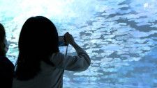 モネやルノワールなどの絵画80点がデジタルアートに　DX化で変わる“醍醐味”「浜名湖花博」ガーデンパーク会場 4月6日に開幕