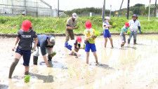 「激うまの米になって」一足早い田植え、泥に苦戦しながら子どもたちが体験＝静岡・掛川市