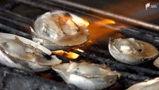地引網体験に興奮、焼き牡蠣を堪能…2024年GWは「安・近・短」 新型コロナ5類移行と円安で＝静岡県