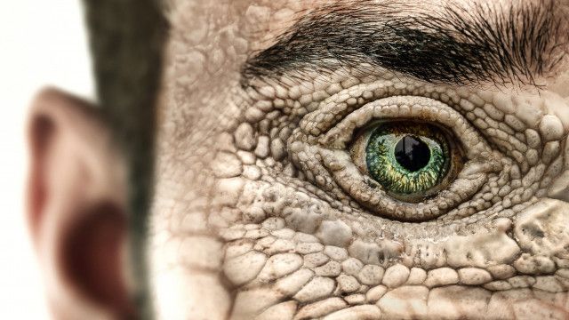 爬虫類型宇宙人が地球を支配している！」荒唐無稽すぎる陰謀論を