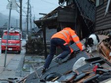 災害救助犬のココ、石川県輪島市の倒壊家屋へ　チームワークを発揮して捜索する