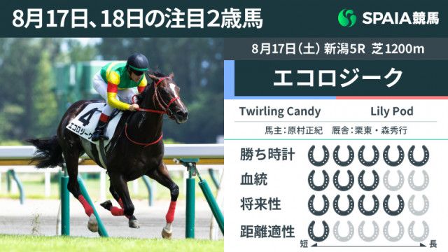 競馬 トップ 1200m レコード