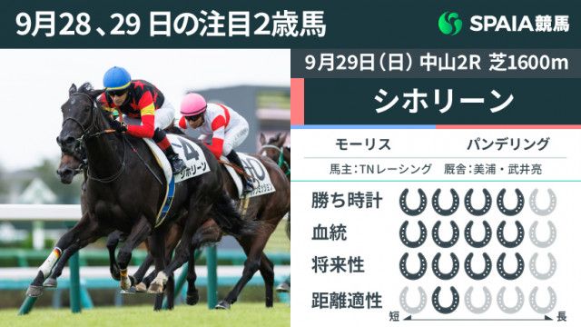 注目2歳馬】叔母はアーモンドアイ、モーリス産駒シホリーンが2戦目でV 同日サフラン賞を上回る好時計(SPAIA) - goo ニュース