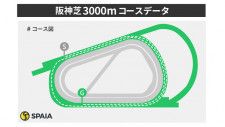 【阪神大賞典】東大HCが阪神芝3000mを徹底検証　ディープインパクト、キズナ産駒は単複回収率100%超え