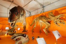 まるで本当の恐竜のような、全長約15mの復元ロボット出現！　『オダイバ恐竜博覧会2024』は刺激と学びの宝庫だった