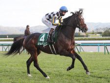 25年の新種牡馬たち】17年2歳王者のダノンプレミアム 産駒には父