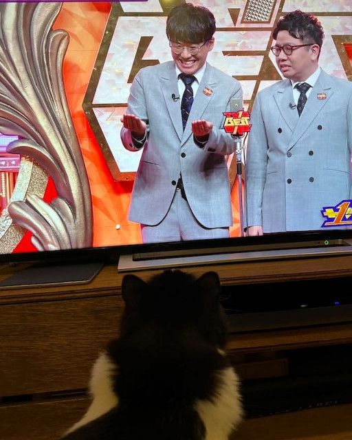 ミキ・亜生の飼い猫がテレビの中の亜生にご飯をおねだり!?😺
