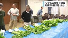伊豆特産のワサビの競争力強化へ　生産者が品種検討会　静岡・下田市