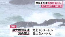 台風1号は温帯低気圧に…県内は31日未明から全域で雨　伊豆では強風・波浪注意報続く　静岡