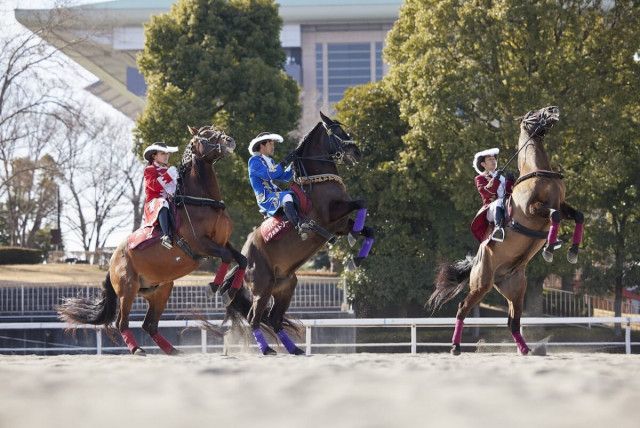 馬術競技のVR体験・ホースダンスショー・グルメも！「第3回中京競馬」はイベント盛りだくさん｜愛知県豊明市(TABIZINE) - goo ニュース