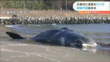 大阪湾のクジラ死亡　漂着クジラ「むやみに触らない近よらない」と専門家が指摘するワケは