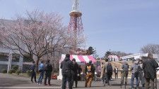 花見グルメやアイドルのライブ「tbc桜まつり2024」2日目もにぎわう「tbcテレビ65周年」仙台