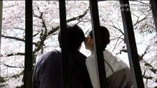 【サクラ・カメラスケッチ】仙台・若林区にある松音寺　ソメイヨシノが満開