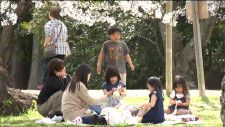 宮城県内は晴れて気温上昇　仙台市内の公園では半そで姿で花見楽しむ人も