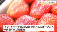 宮城県産イチゴを「ドン・キホーテ」のグアム新店舗で販売　６月中旬までに約４万パック出荷予定