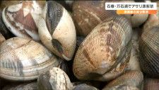 「去年の猛暑で死んだアサリが多かった」万石浦で特産のアサリ漁始まる　心配なのは“漁獲量の減少”宮城・石巻市