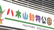 八木山動物公園でオスのレッサーパンダ「ヤンヤン」が展示場から一時脱走　捕獲の際に職員1人けが　仙台