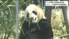 仙台市議が「ジャニーズ事務所のパンダ誘致支援」凍結を市に要望　ジャニー喜多川氏の性加害問題受け