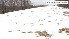 「久々に滑りにきて、めっちゃ下手になってた」仙台市内のスキー場“雪不足”でピンチ　みんなヤキモキ