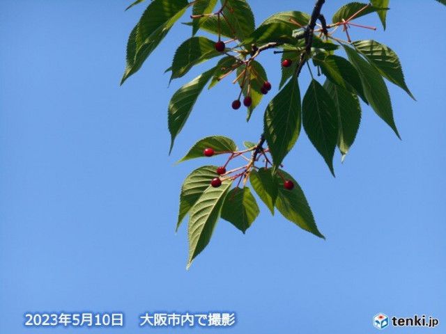 関西　12日(金)までは晴天続く　週末は大気の状態が不安定で雷雨になる恐れも
